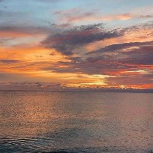 Meet your Posher, Addison